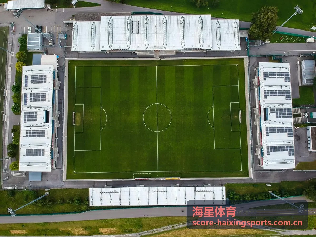 海星体育意甲实时比分